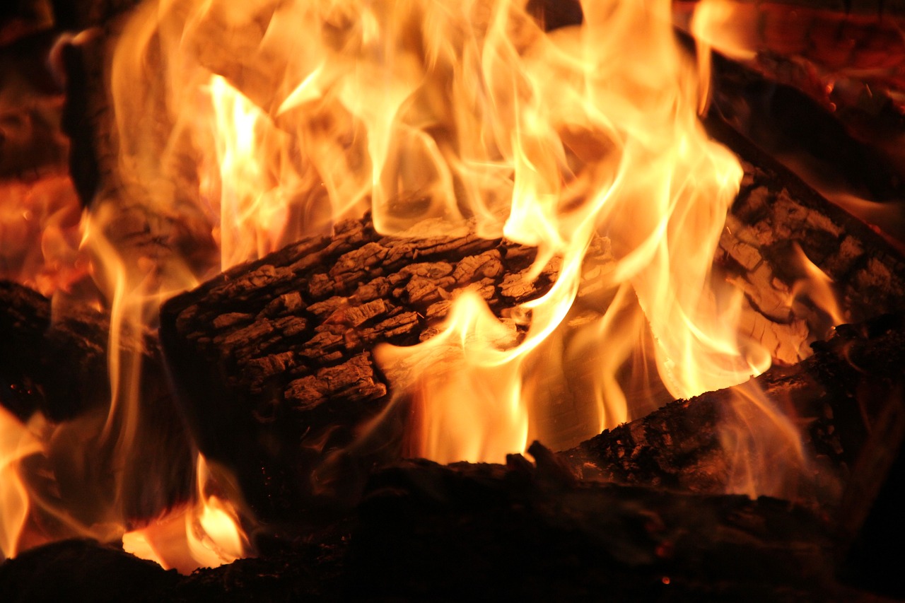 Professional Fireplace Cleaning Services In Oak Park Michigan